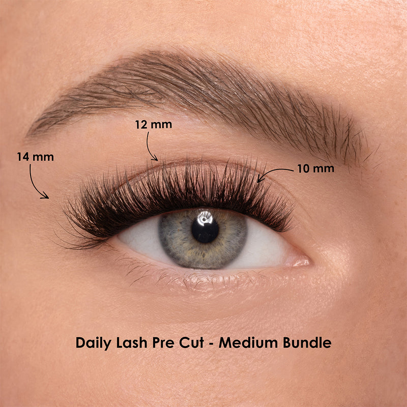 DAILY LASH