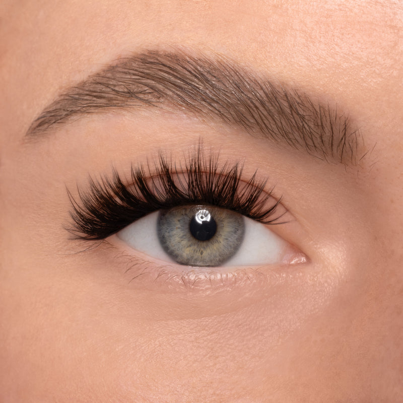 AMSTERDAM (13mm - 16mm)