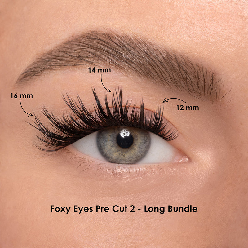 FOXY 2 BUNDLE