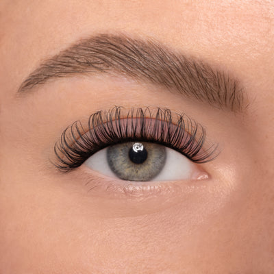 NO 2 MAXI (10mm-12mm)