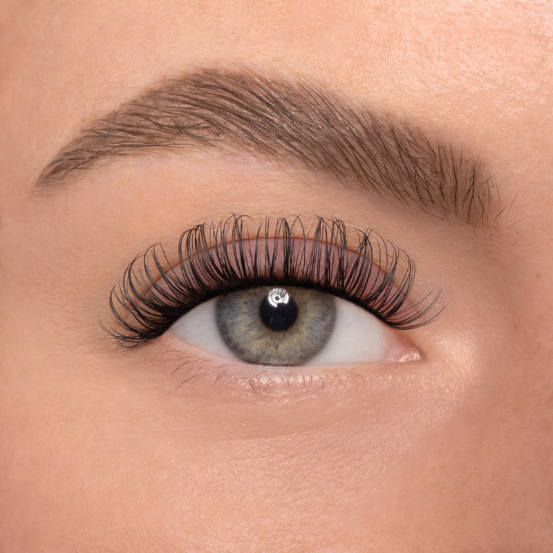 NO 2 MAXI (10mm-12mm)