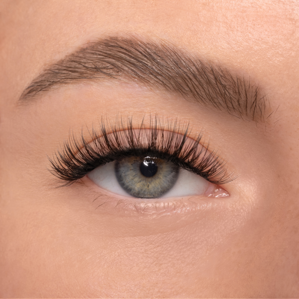 LASH BABY SINGLE (8mm-13mm)
